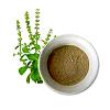 Hygienically Packed Tulsi Powder