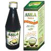 Vitamins Enriched Amla Juice