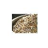 Cumin Oleo Resin For Curing Muscular Pains