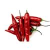 Hygienically Processed Whole Red Chilli