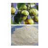 Garcinia Cambogia In Powder Form