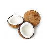 Encapsulated Coconut Oil Fat Powder