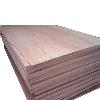 Borer Proof Commercial Plywood