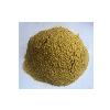 Dehydrated Green Chilli Powder