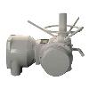 Industrial Grade Valve Actuator