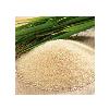 Nutrition Enriched Raw Rice