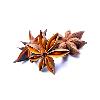 Dried Star Shaped Anise Seeds