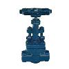 Forged Steel Globe Valve