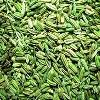 High Aromatic Fennel Seeds