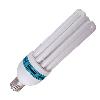 Compact Fluorescent Lamp Light