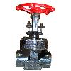 Forged Steel Gate Valve