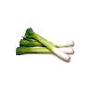 Hygienically Packed Green Leeks