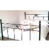 Polished Designer Iron Beds