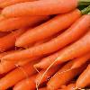 Fresh Carrot With Nutritional Properties