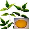 Neem Oil With Medicinal Properties