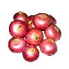 Fresh Organic Red Onions