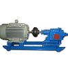 Heavy Duty Gear Pump With Electric Motor