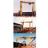 Industrial Purpose Gantry Crane