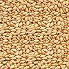 Vitamin B Enriched Sesame Seed