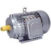 Electrical Type Induction Motor