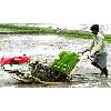 User Friendly Rice Transplanter