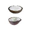 Coconut Shell Based Ice Cream Cups