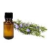 Rosemary Oil For Cosmetic Industry