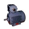 Industrial Flame Proof Motor