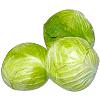 Green Cabbage