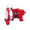 Plastic Moulded Pump With Gland/ Mechanical Seal