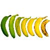 Mild/ Stainless Steel Banana Ripening Plant