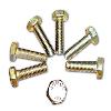 Corrosion Proof Hex Bolt