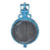 Pneumatically Operated Butterfly Valve