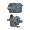 Industrial Grade Internal Gear