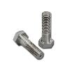 Stainless Steel Bolt Fastener