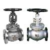 Industrial Grade Globe Valve