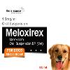 Oral Suspension For Dog