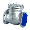 One Way Type Swing Check Valve