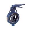 High Tensile Butterfly Valve