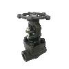 Screwed/ Socket End Type Globe Valve