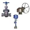 Bolted Bonnet Type Gate Valve