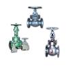 Globe Valve With Plug Type Disc