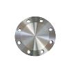 Stainless Steel Forged Flanges