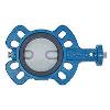 Bi-Directional Type Butterfly Valve