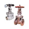 Corrosion Resistant Gate Valve