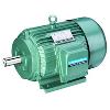 Industrial Grade Induction Motor