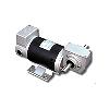 R Type Gear Motor