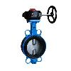 Double Offset Butterfly Valve