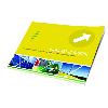 Printed Type Promotional Purpose Brochure