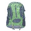 Green And Grey Coloured Backpack